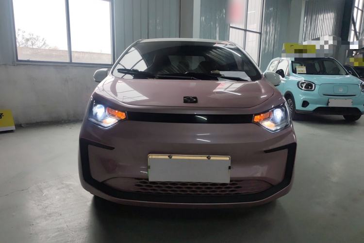 Used SOL E10X 2022 Flower Fairy Design Four-Leaf Clover Front