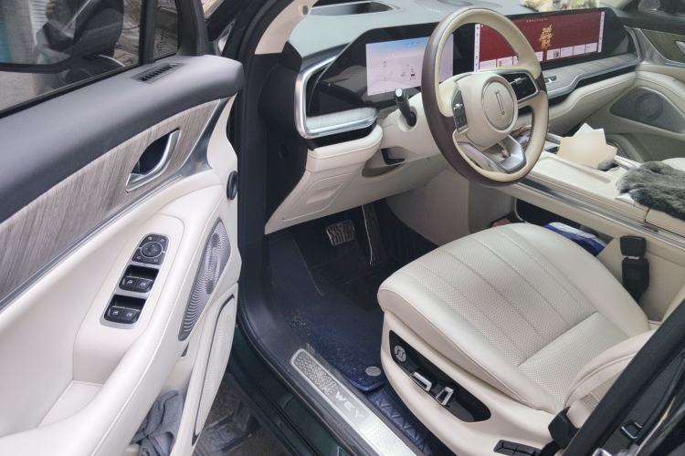 Used Wey Lanshan 2023 Two-Wheel Drive Long-Range Version Driver Seat