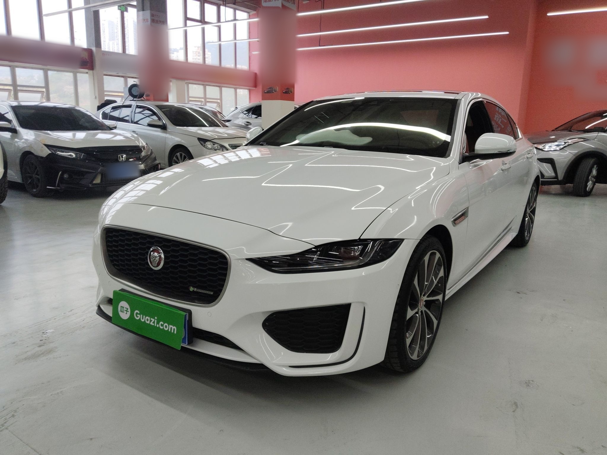 Parte inferior delantera