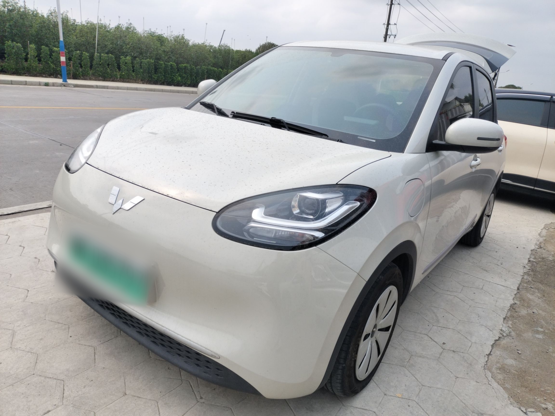 Parte inferior delantera