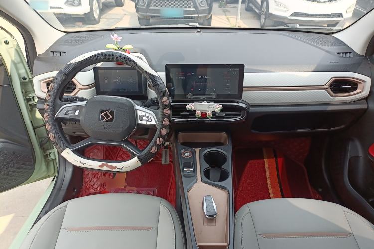 Used SOL E10X 2022 Flower Fairy Design Four-Leaf Clover