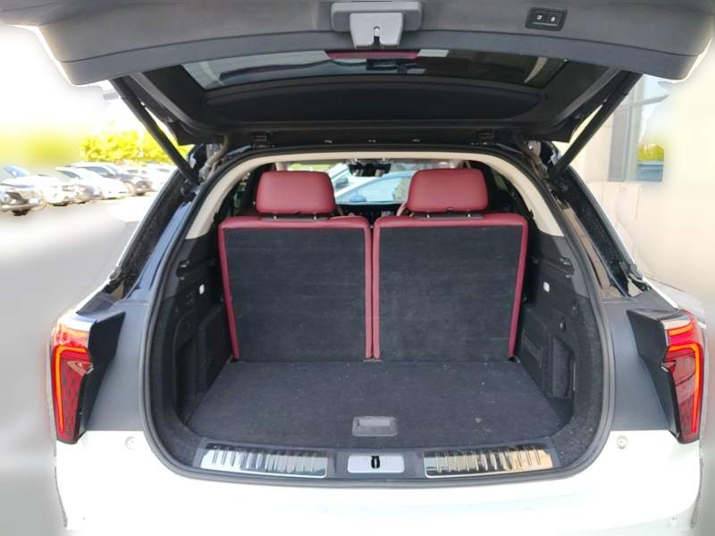 Used Hongqi E-HS9 2022 690 km Range Flagship Edition Six Seats — 20