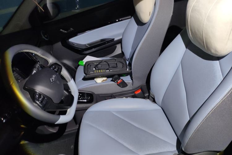 Used Chery Little Ant 2023 301km True Love Plus Version Ternary Lithium