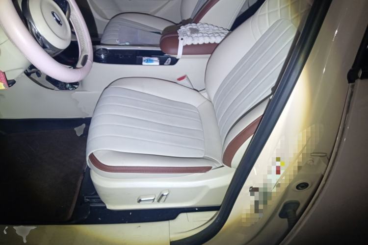 Used ORA Good Cat 2022 Morandi Edition 400km Standard Range Luxury Version Lithium Iron Phosphate Left Front Seat