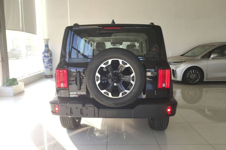 Used Tank 300 New Energy 2025 Hi4-T