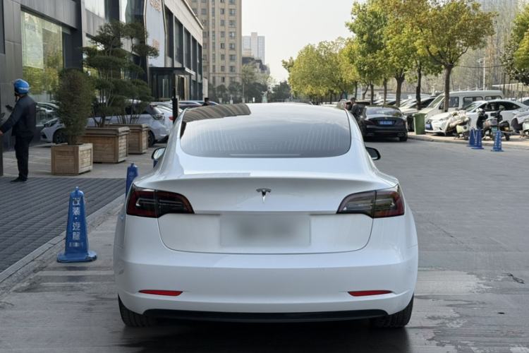Used Tesla Model 3 2019 Long-Range Rear-Wheel-Drive Version Exterior 1