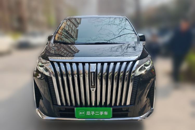 Used Wey Gaoshan 2023 Four-Wheel-Drive Executive Extended Version Front