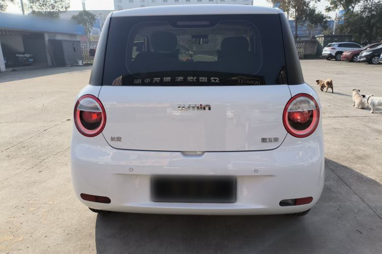 Used Qiyuan Lumin 2023 301km Honey Dew Edition
