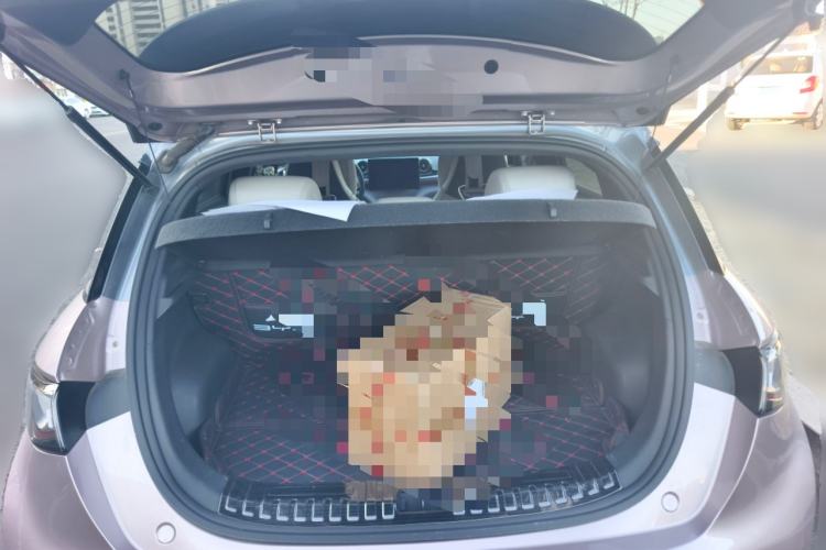 Used BYD Dolphin 2021 401km Knight Edition