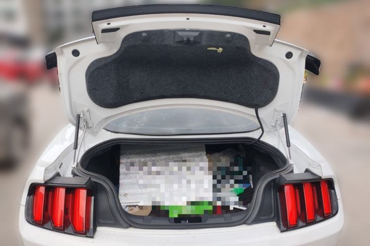 Used Ford Mustang 2015 2.3T Performance Edition
