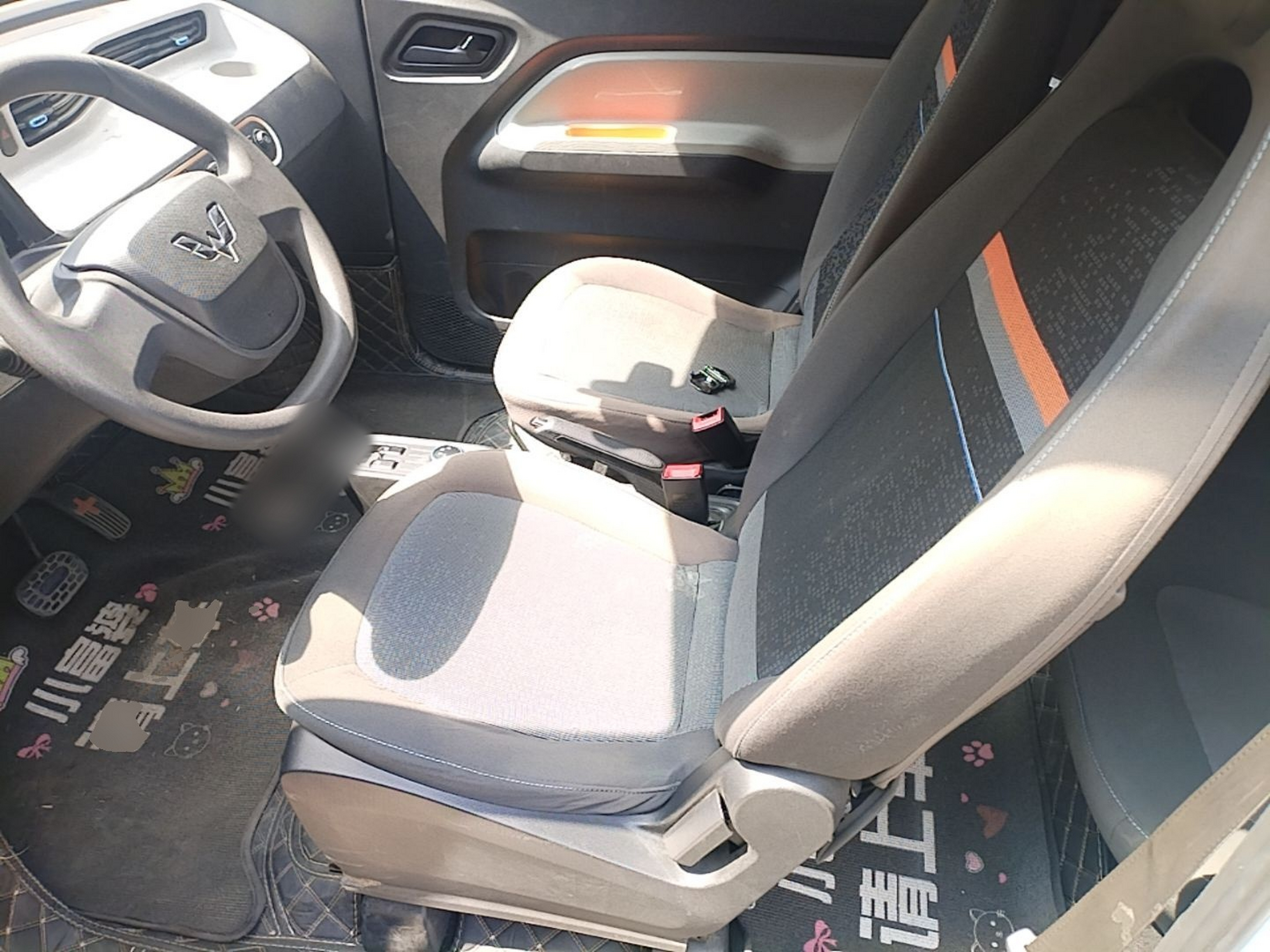 Interior delantero