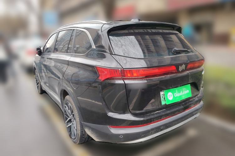 Used WM Motor EX6 2020 Plus Founder's Edition – First Launch