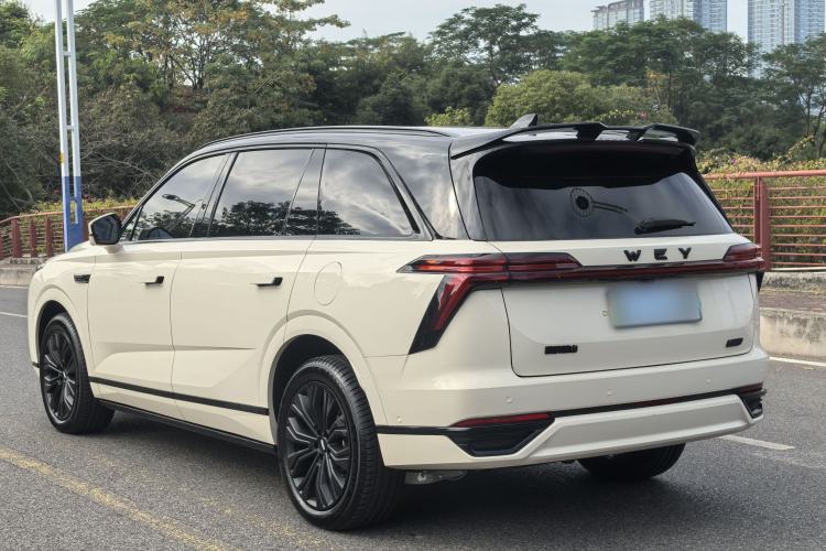Used Wey Lanshan 2023 Four-Wheel Drive Ultra-Long Range Version
