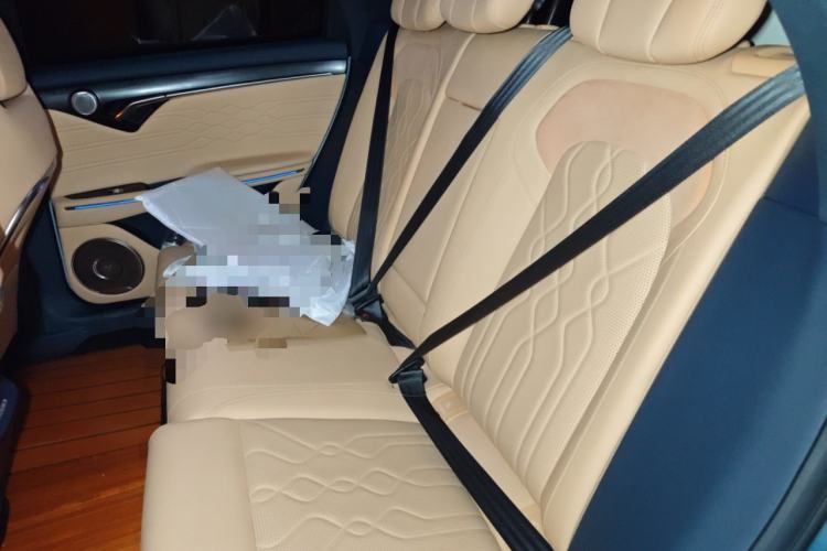 Used VOYAH FREE 2021 Four-Wheel Drive Standard All-Electric Exclusive Luxury Package Left Rear Seat