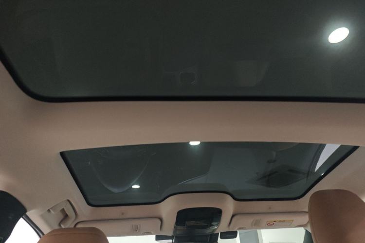 Used Lexus RZ 2023 450e All-Wheel Drive Luxury Edition Headliner