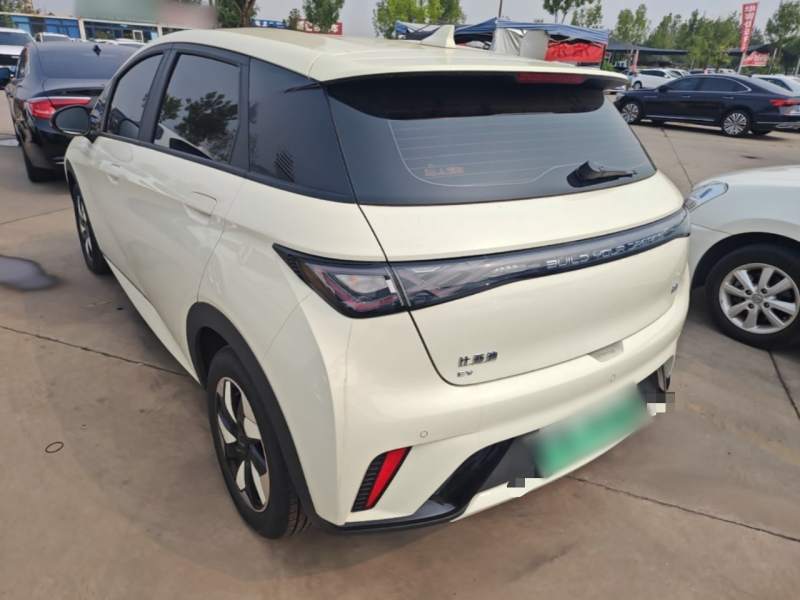 Used BYD Dolphin 2025 420km Free Edition — 28