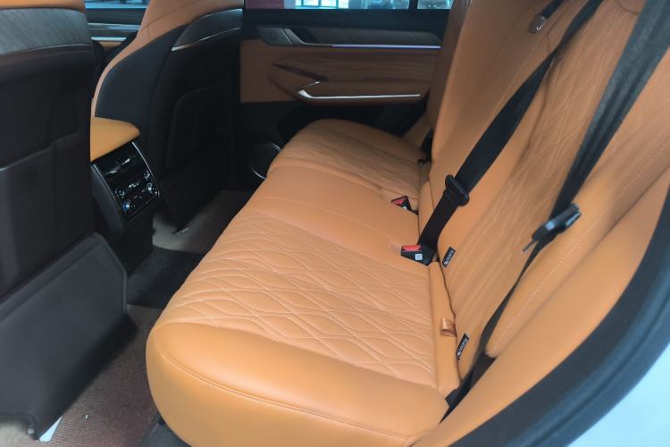 Used Tank 500 New Energy 2025 Hi4-Z Left Rear Seat