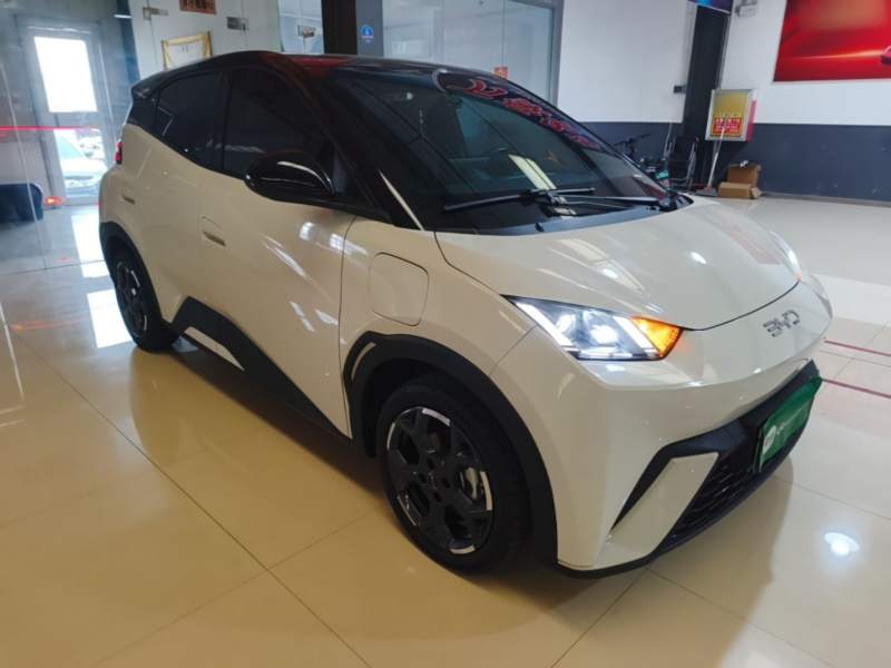 Used BYD Seagull 2025 305 km Free Version — 3