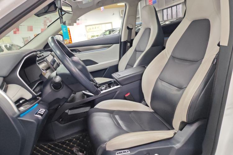 Used WM Motor EX5 2019 EX5 ZhiXing 2.0 Extra Innovation Edition 400 Left Front Seat