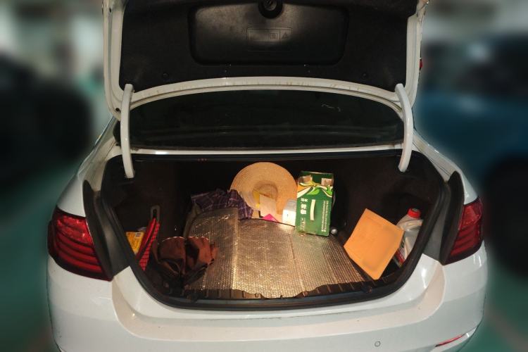 Used BMW 5 Series 2013 530Li Leading Model