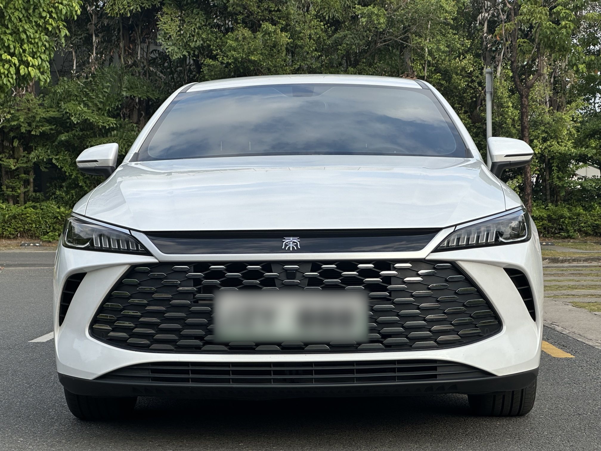 BYD Qin PLUS 2025 DM-i Smart Drive 55KM Leading Model — снимка 14