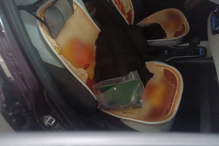 Used Toyota Levin 2019 Dual-Engine 1.8H E-CVT Luxury Edition China VI Standard Right Front Seat