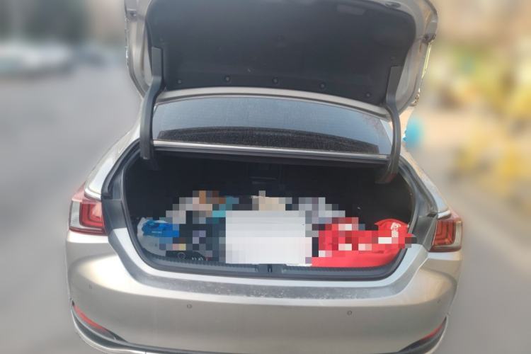 Used Lexus ES 2021 200 Excellence Edition Trunk