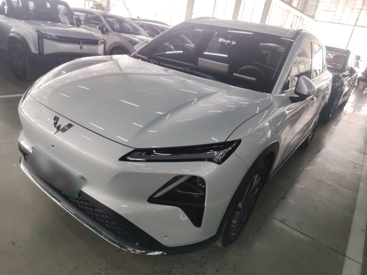 Parte inferior delantera