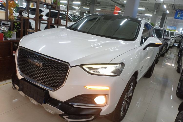 Used Haval F5 2019 National Trend Edition 1.5T i-Trend China VI Standard