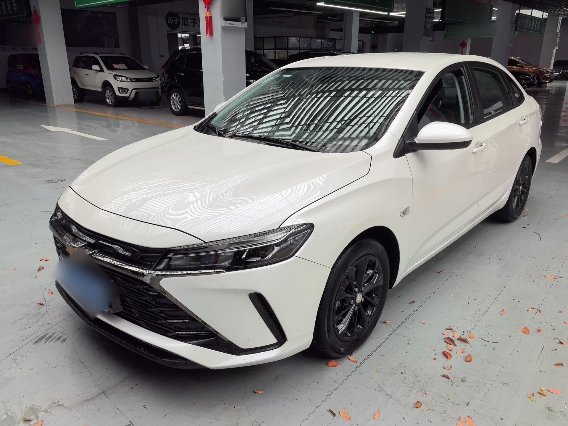 تحت مقدمة السيارة