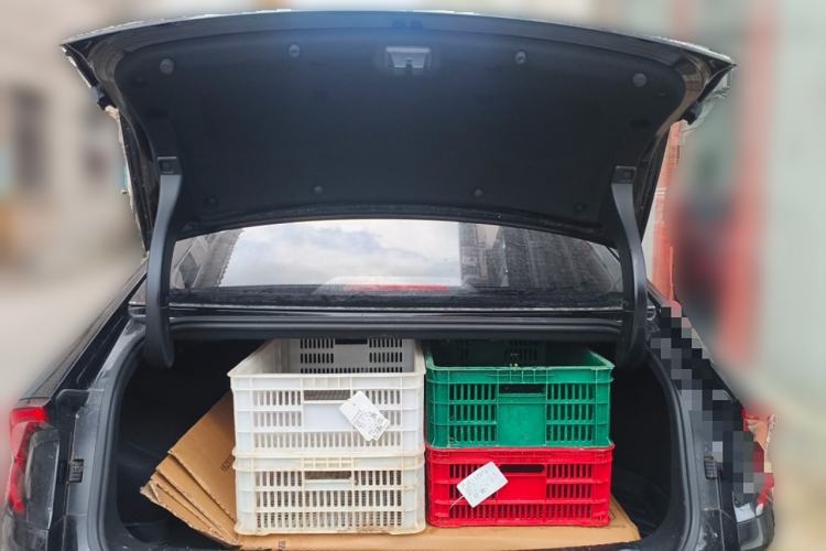 Used Wuling Xingguang 2023 150 Advanced Edition Trunk