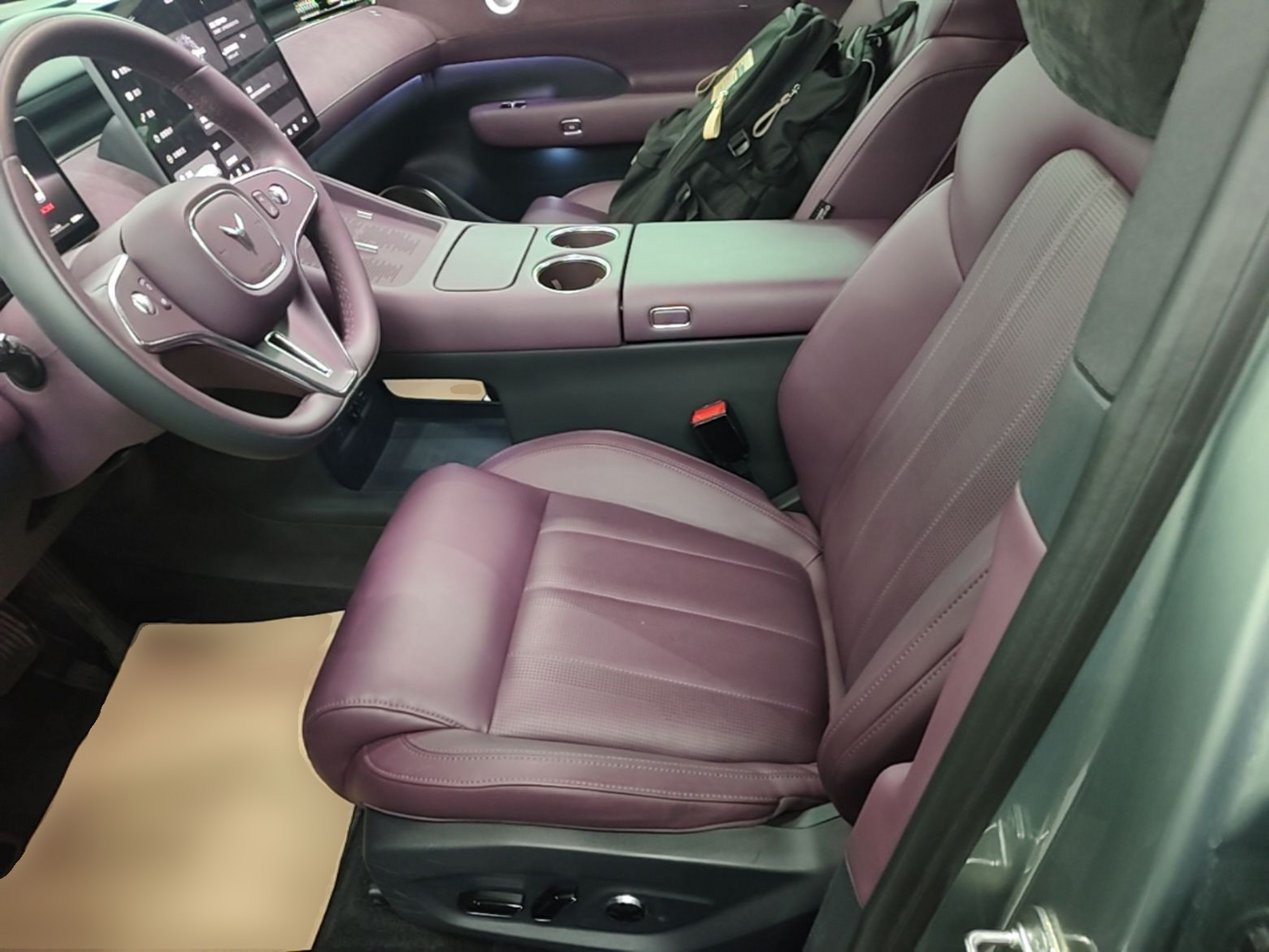 Interior delantero