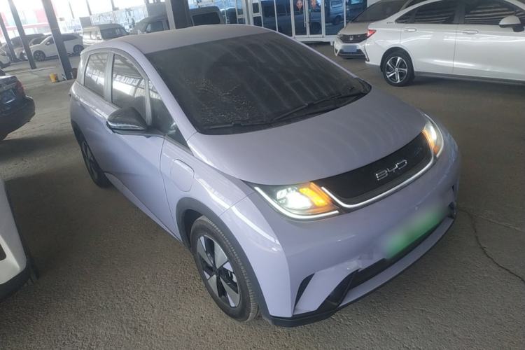 Used BYD Dolphin 2023 420 km Free Version
