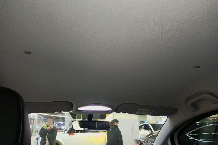 Used Geometry E Firefly 2023 320KM Cute & Handsome Tiger 5 Seats