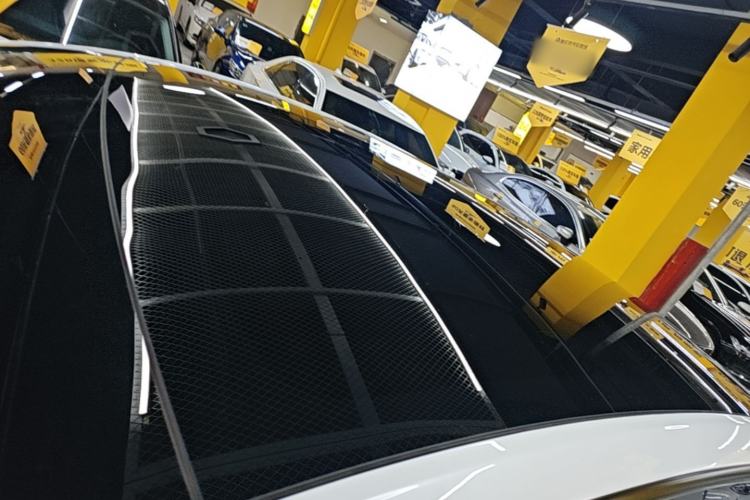 Used Tesla Model Y 2021 Performance High-Performance All-Wheel-Drive Version Roof