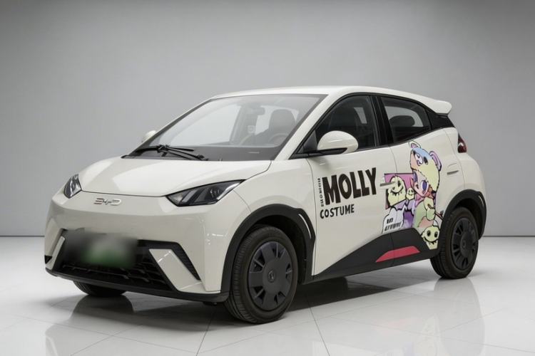 Used BYD Seagull 2025 305km Active Version