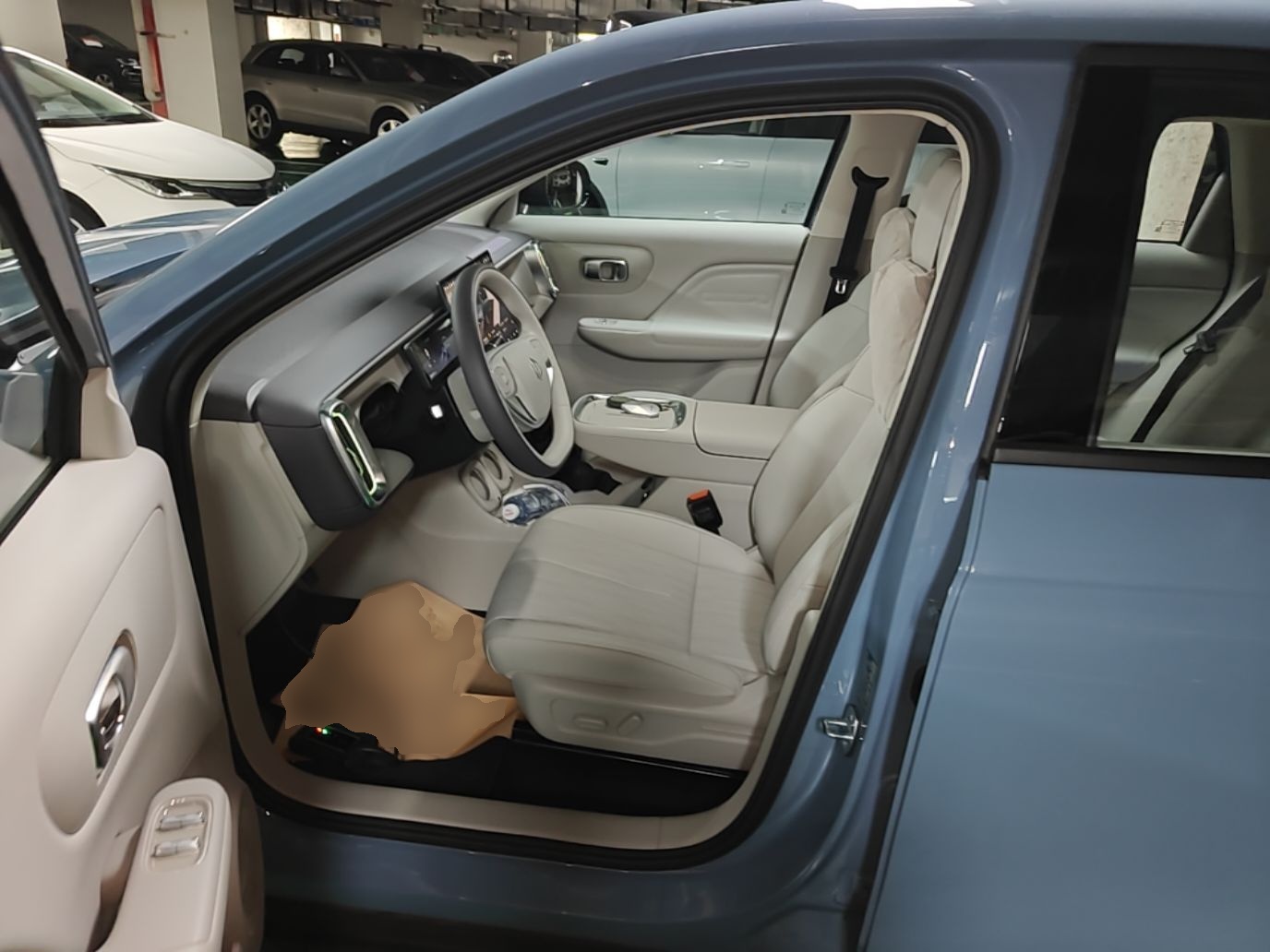 Interior delantero
