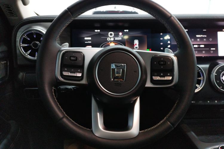 Used Tank 300 2024 2.0T Conqueror