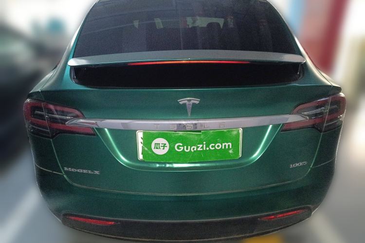 Used Tesla Model X 2017 X 100D Long Range Edition Rear