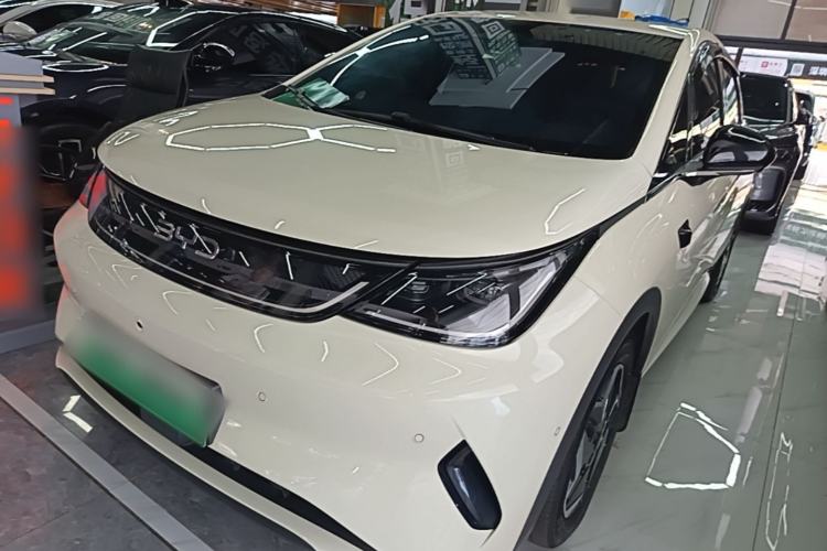 Used BYD Dolphin 2025 Smart Drive Version 420 km Freedom Edition