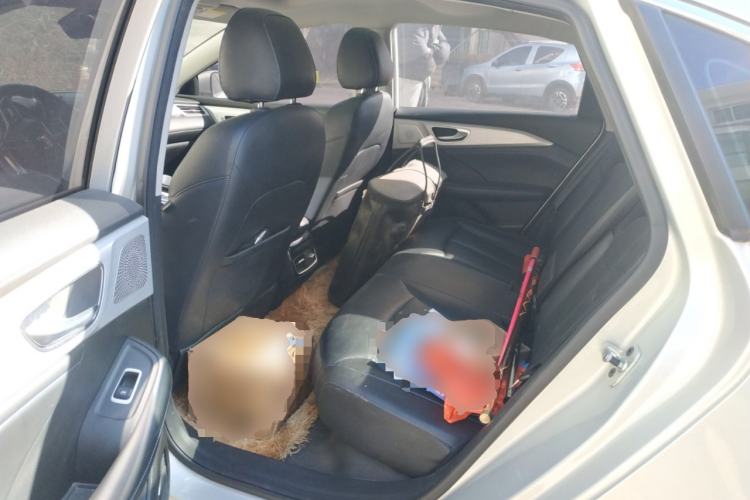 Used Rising ER6 2021 New Dynamic Edition 620km Smart Enjoyment Version
