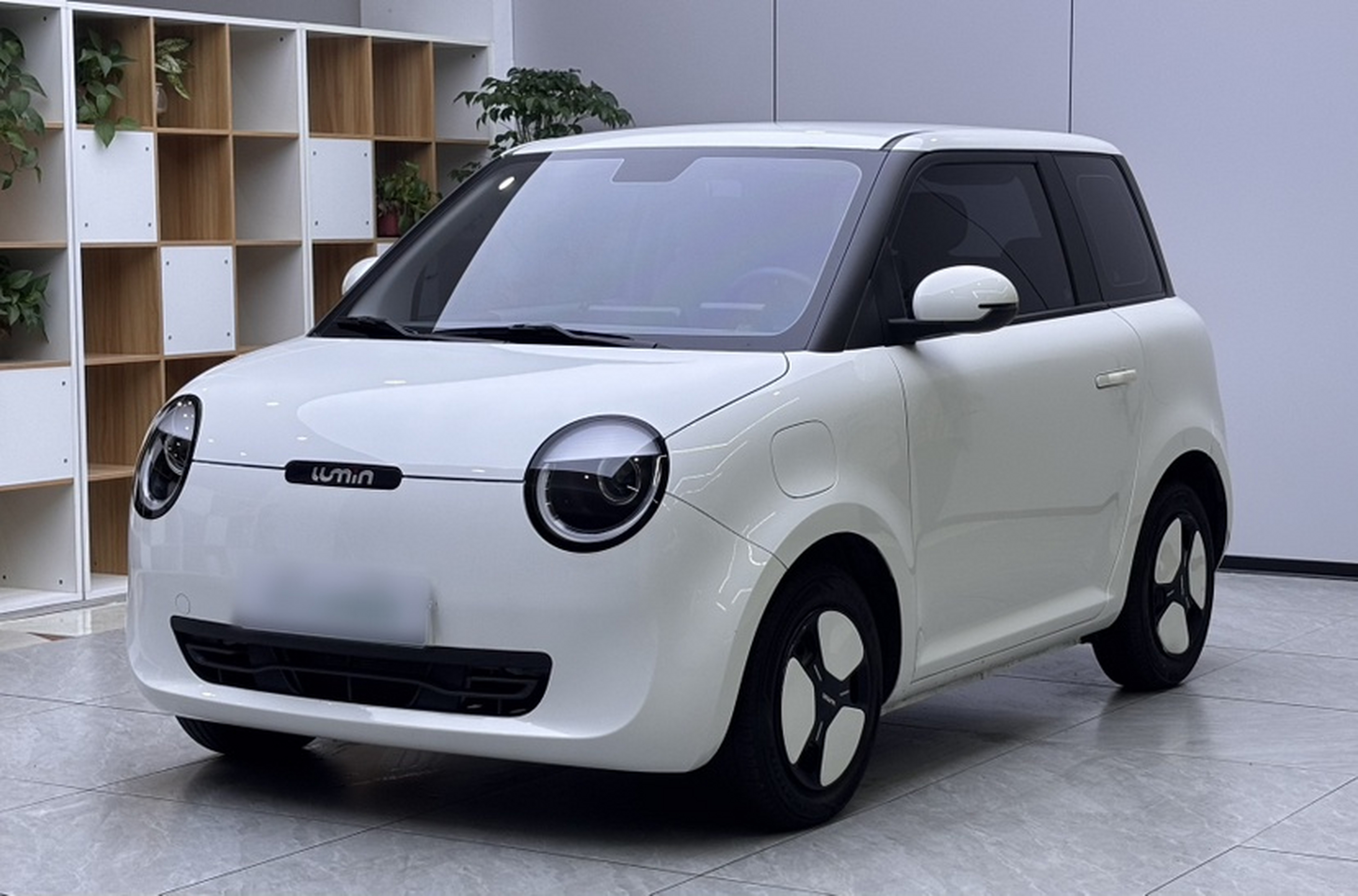 Parte inferior delantera