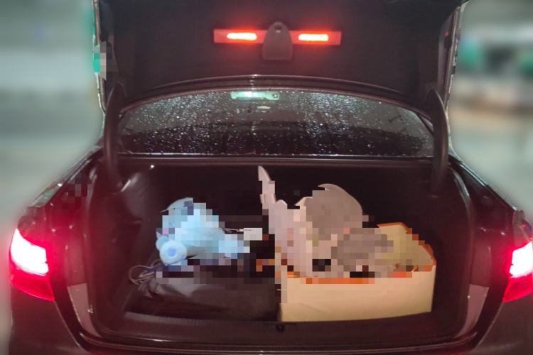 Used Audi A4L 2020 40 TFSI Fashion Dynamic Model