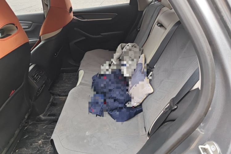 Used BYD Destroyer 05 2022 DM-i 120KM Prestige Model Left Rear Seat