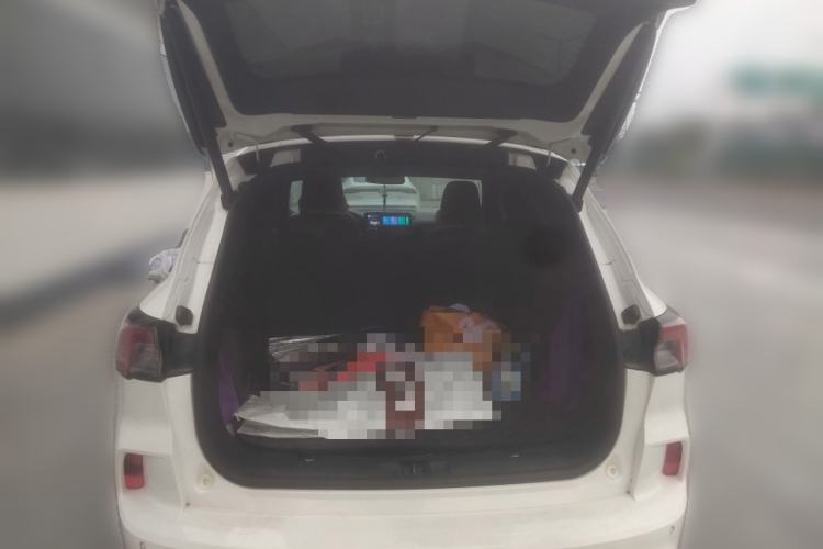 Used Ford Escape 2020 EcoBoost 245 Four-Wheel Drive ST-LINE Deluxe Edition Trunk