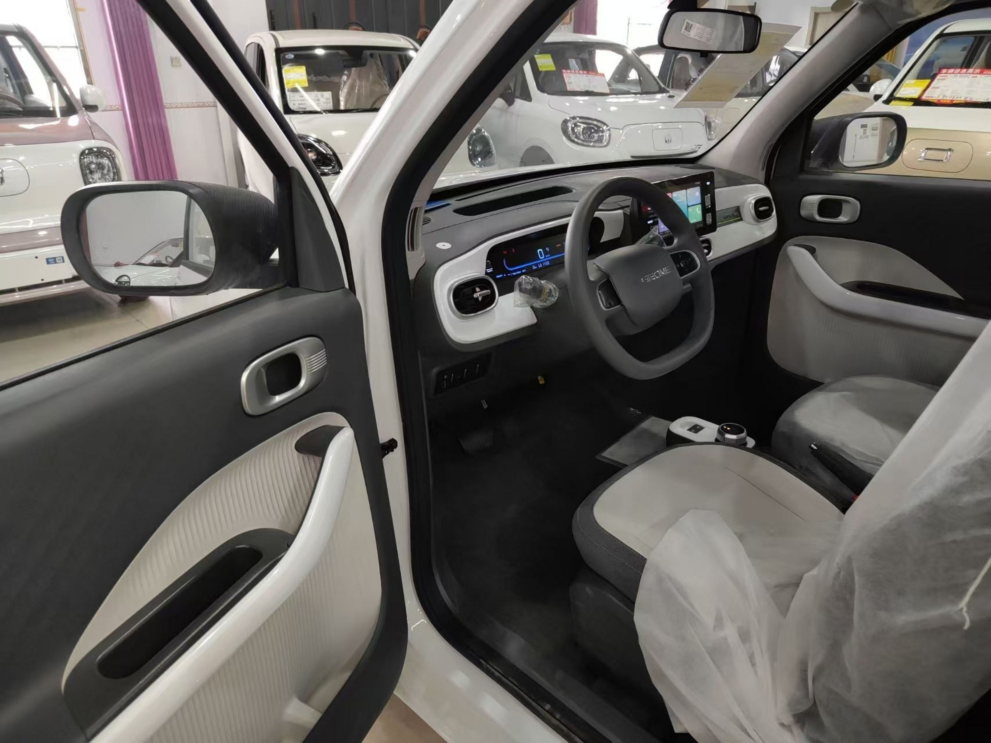 Interior delantero