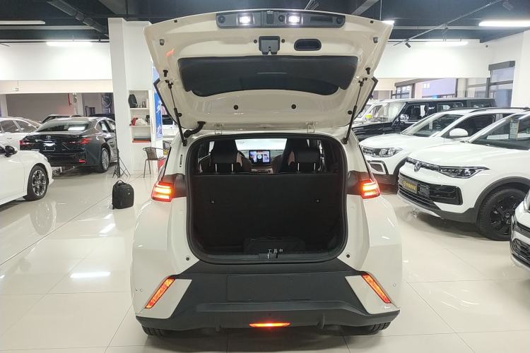 Used BYD Seagull 2024 Honor Edition 305km Freedom Version