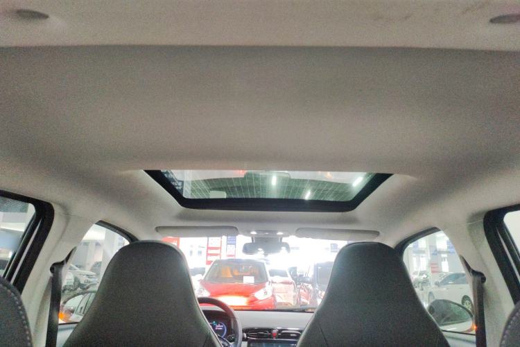 Used Leapmotor T03 2020 400 Luxury Edition Headliner