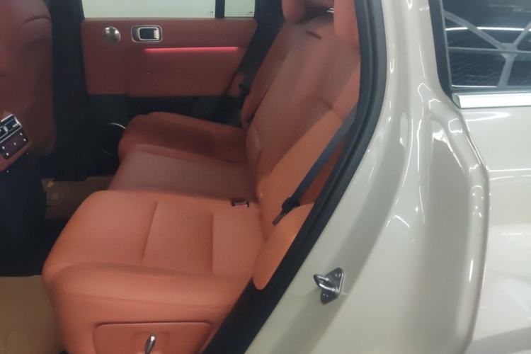 Used Li Auto L6 2025 Max Smart Refresh Edition Left Rear Seat