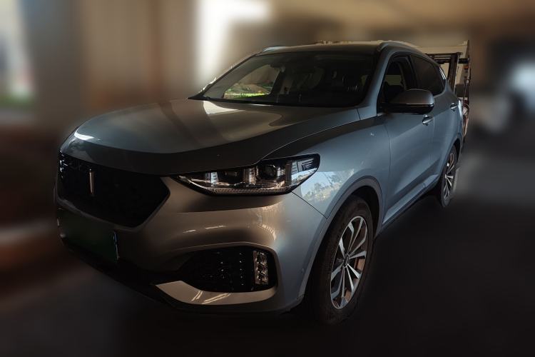 Used Wey VV6 2019 2.0T Two-Wheel-Drive Flagship Version China VI Standard